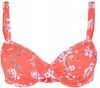 Sunseeker Bikinitop met beugels Ditsy met gehaakt randje online kopen