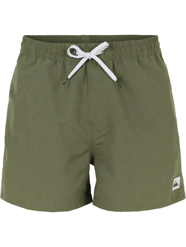 Quiksilver EVERYDAY VOLLEY 15 Groen
