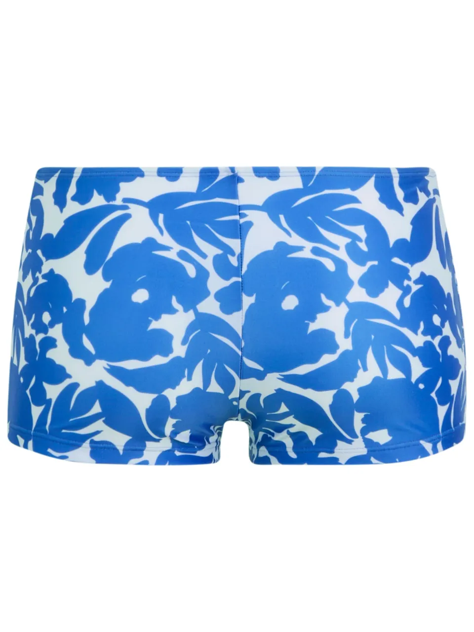 Regatta Dames Aceana Fleur Bloom Bikini Shorts (Blauw)