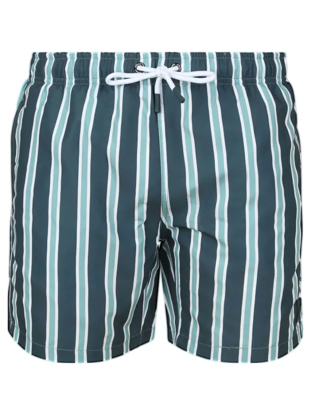 Suitable Bikini Suitable Zwembroek Stripe Groen
