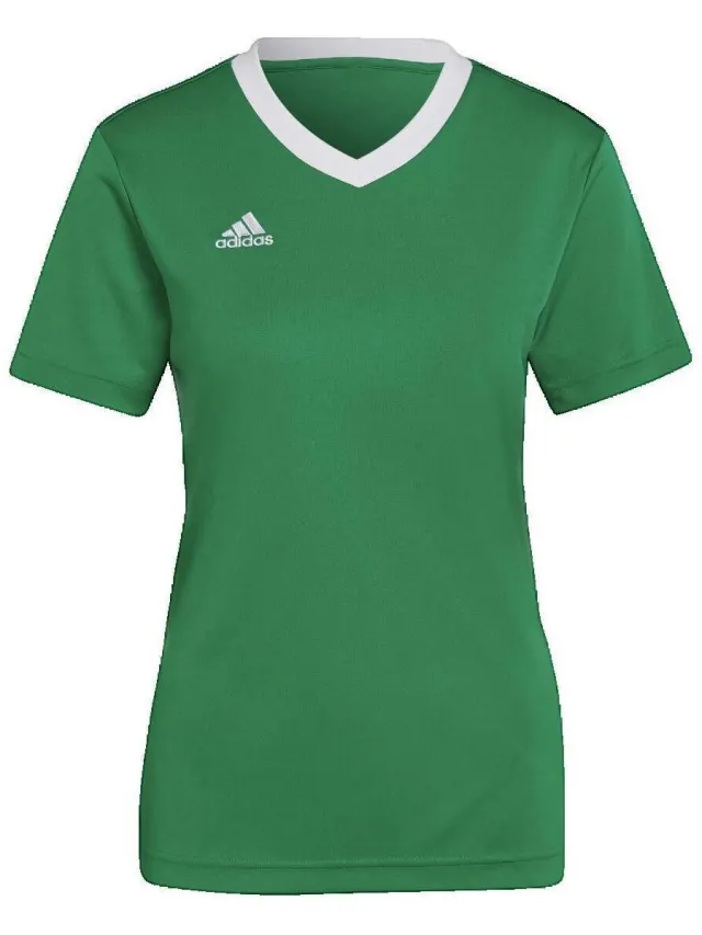 Adidas Entrada 22 shirt groen