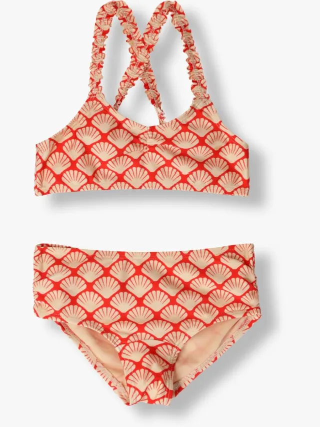Beachlife Bikini - Sea Shells-152