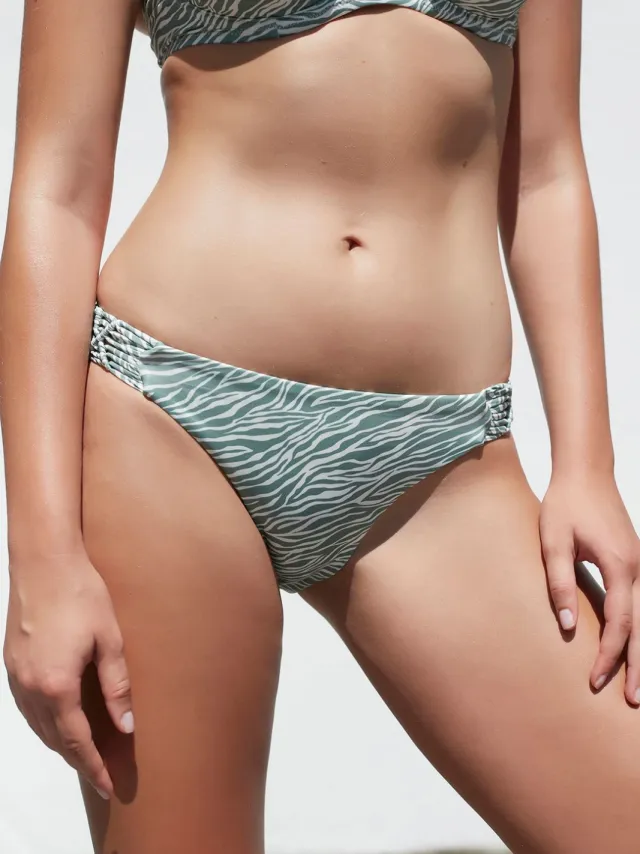Penti Midden-heup Zebra Hipster Bikini Onderdeel veelkleurig, foto 2