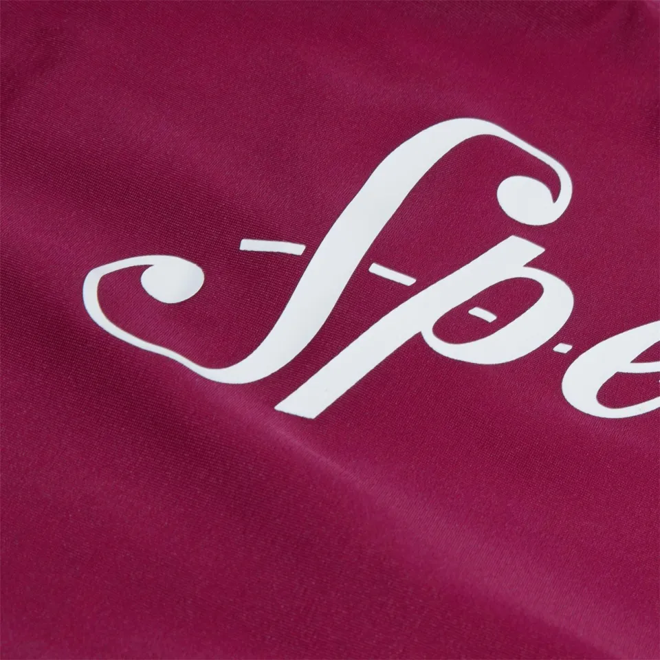 Speedo Dames/Dames logo-eendelig badpak (Paars/Wit), foto 2